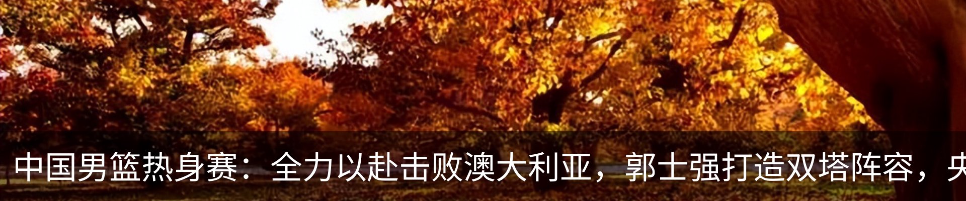 行业资讯