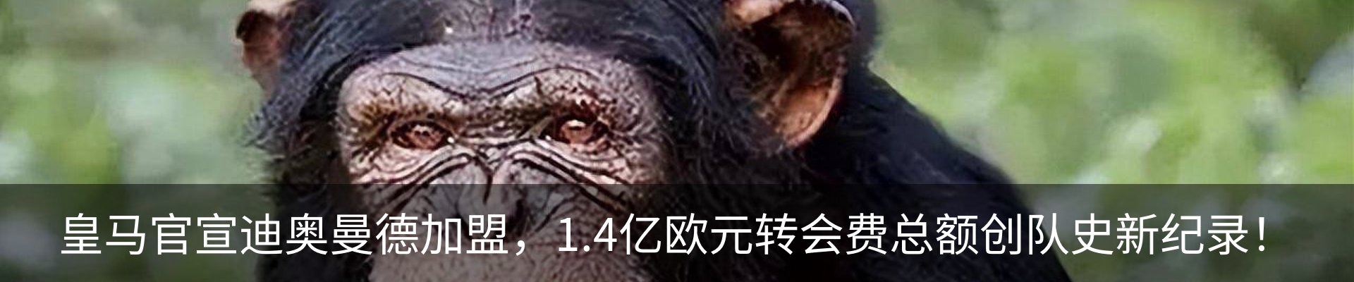 行业资讯