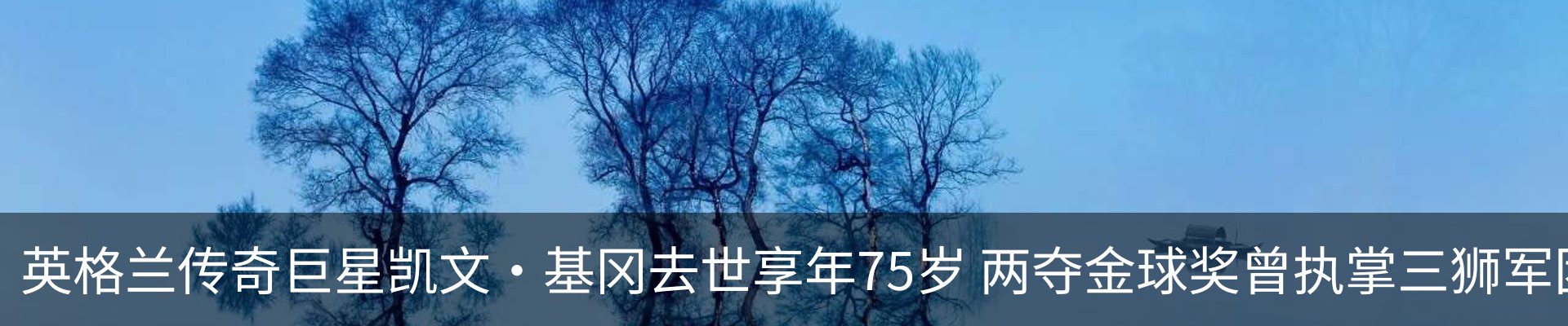 行业资讯
