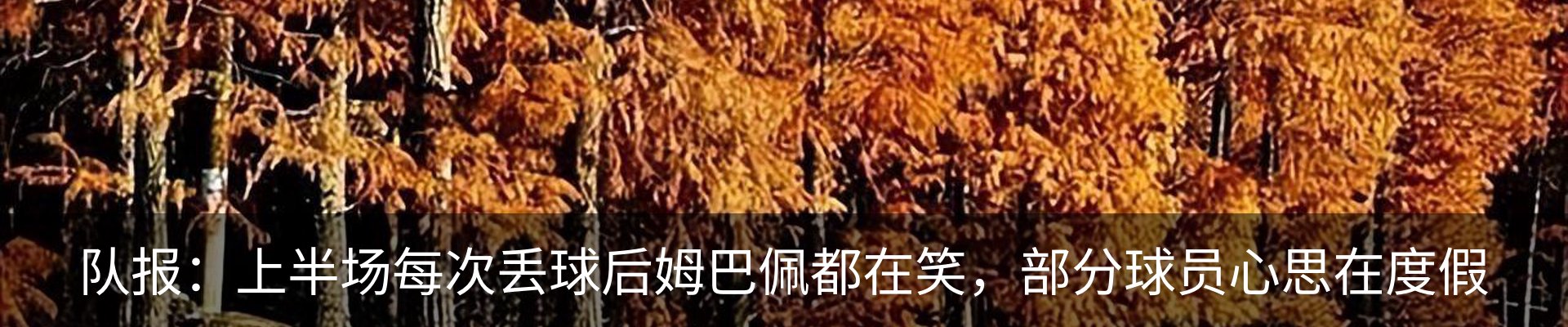 行业资讯