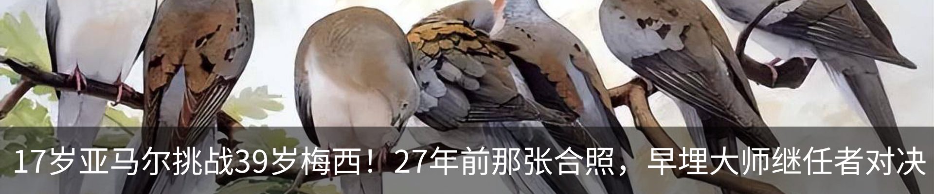 行业资讯
