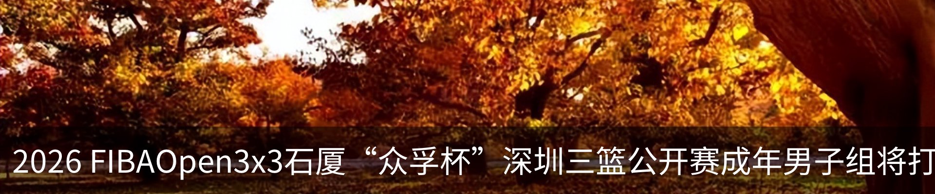 行业资讯
