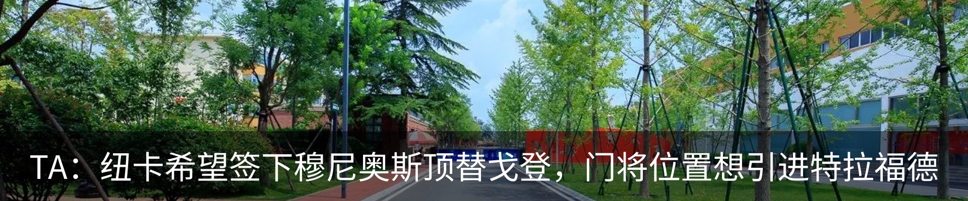 行业资讯